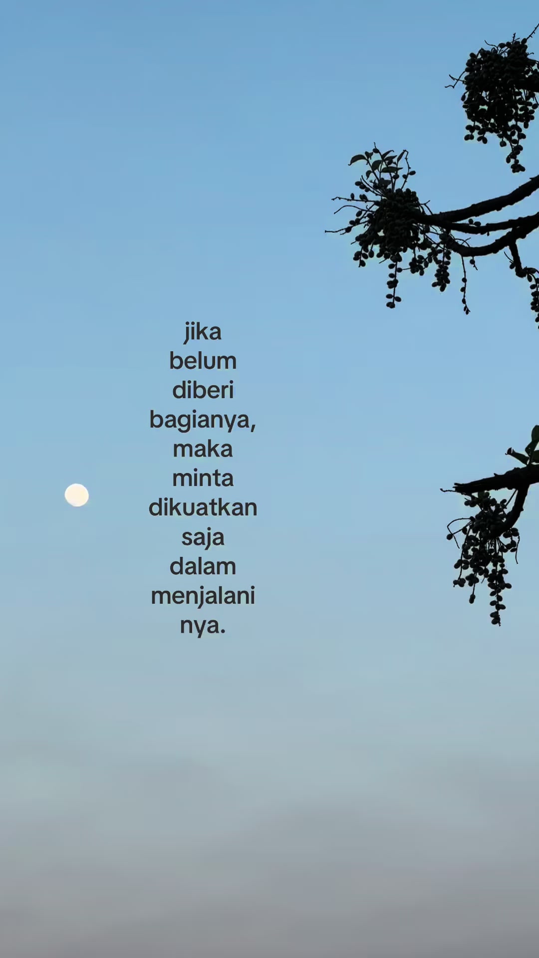 @artupp.