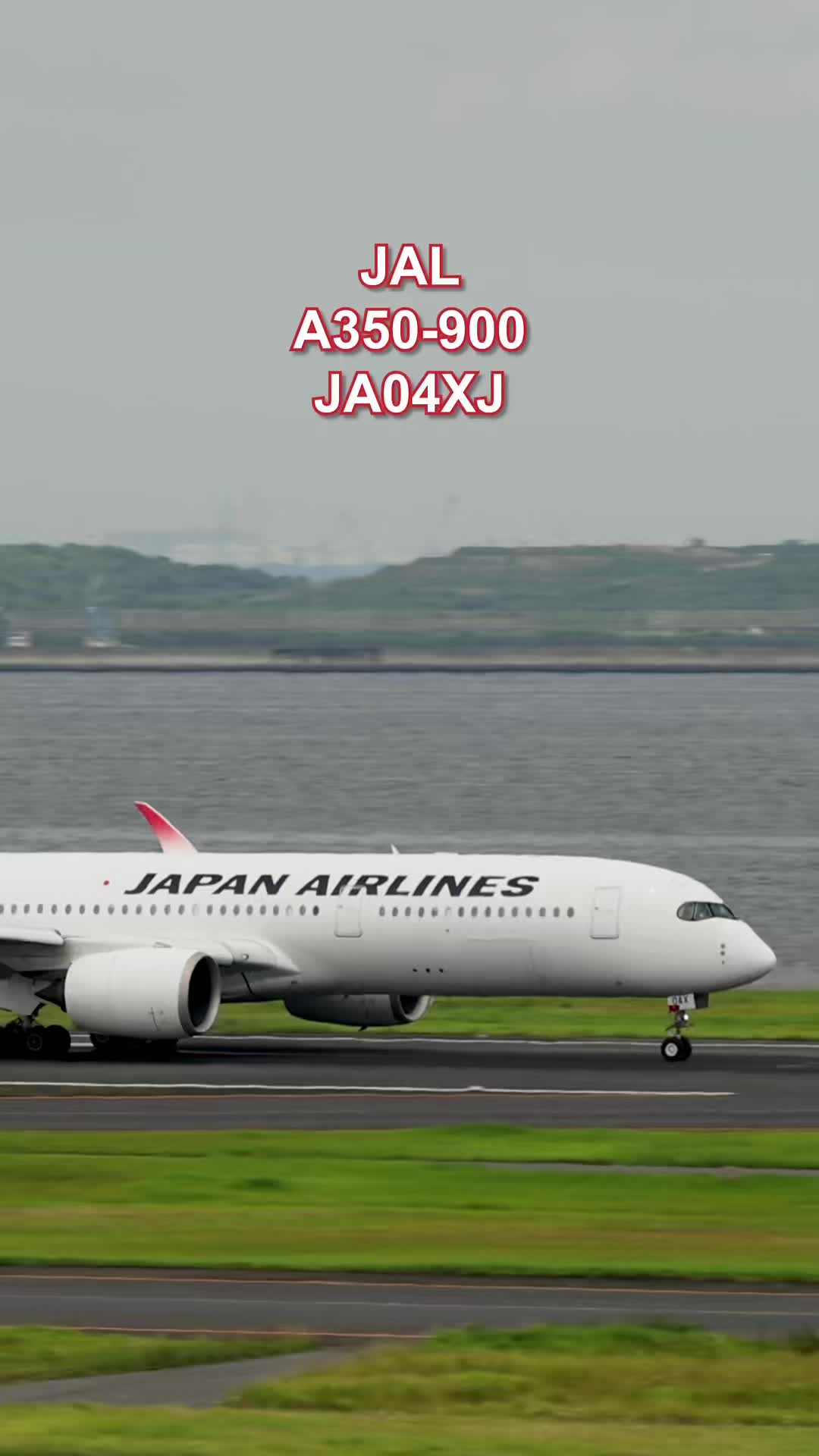 @Skyline だ〜はね|Haneda Airport ✈️