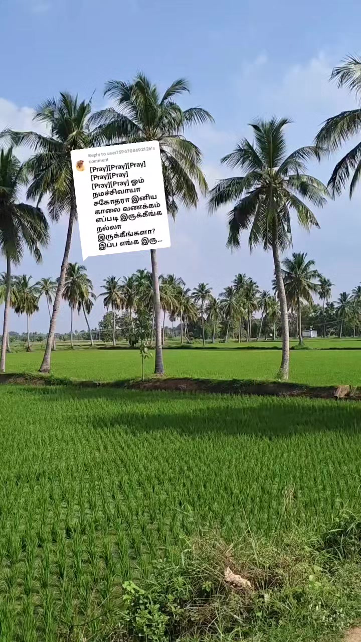 @பேப்பர் ஐடி    248 🌹1