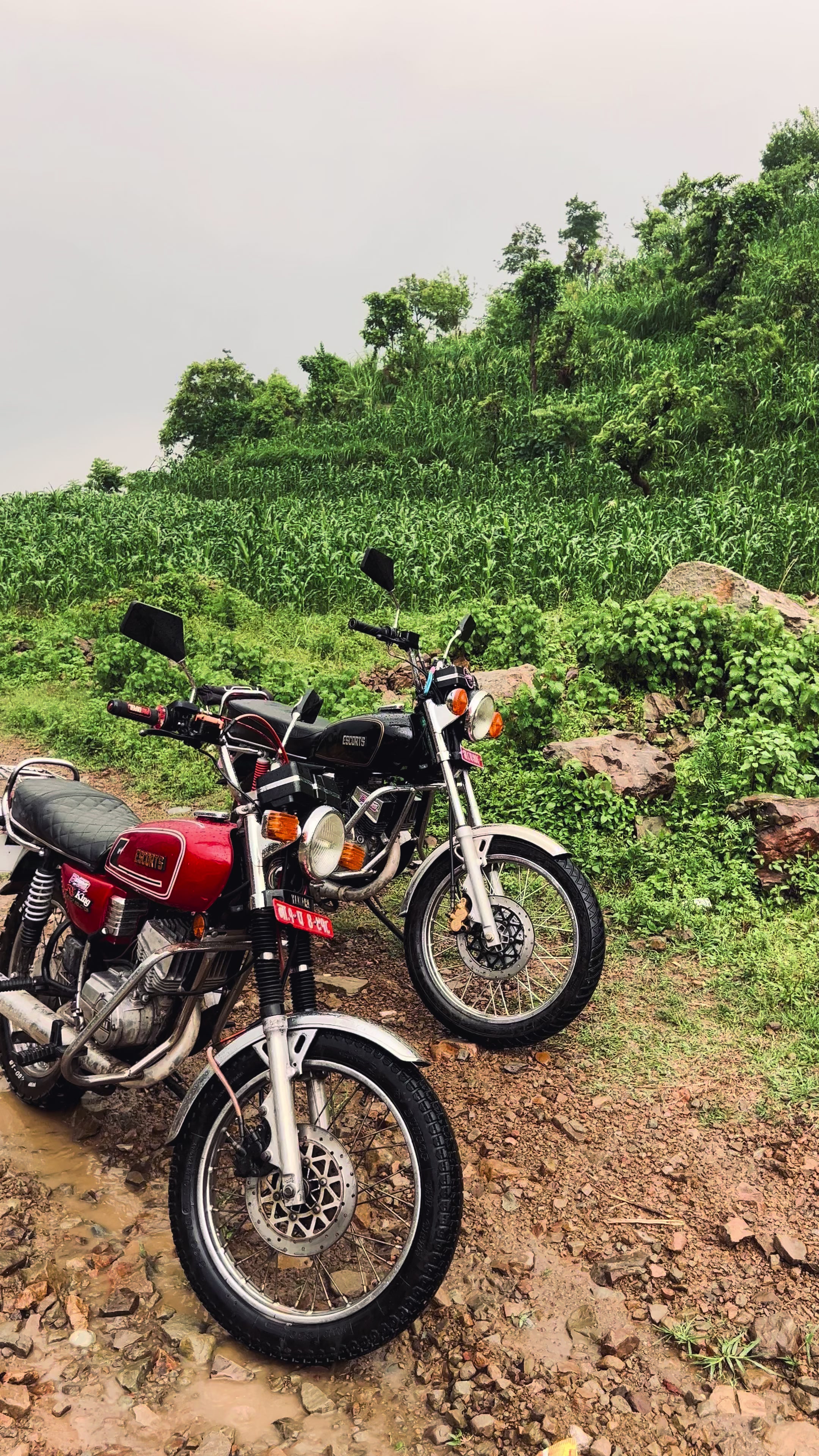 @2 STROKE SYNDICATE