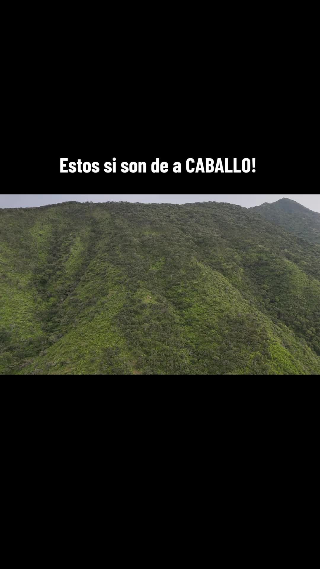 @lavidaderancho