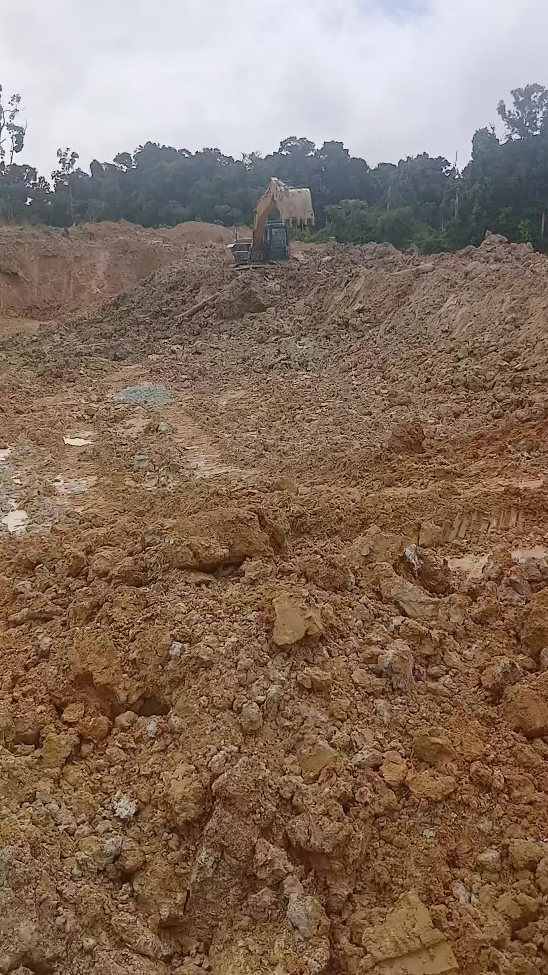 @dixee