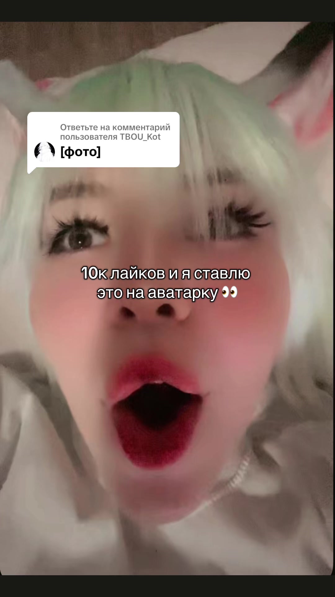 @тгк: Креветка Kimuru 💗