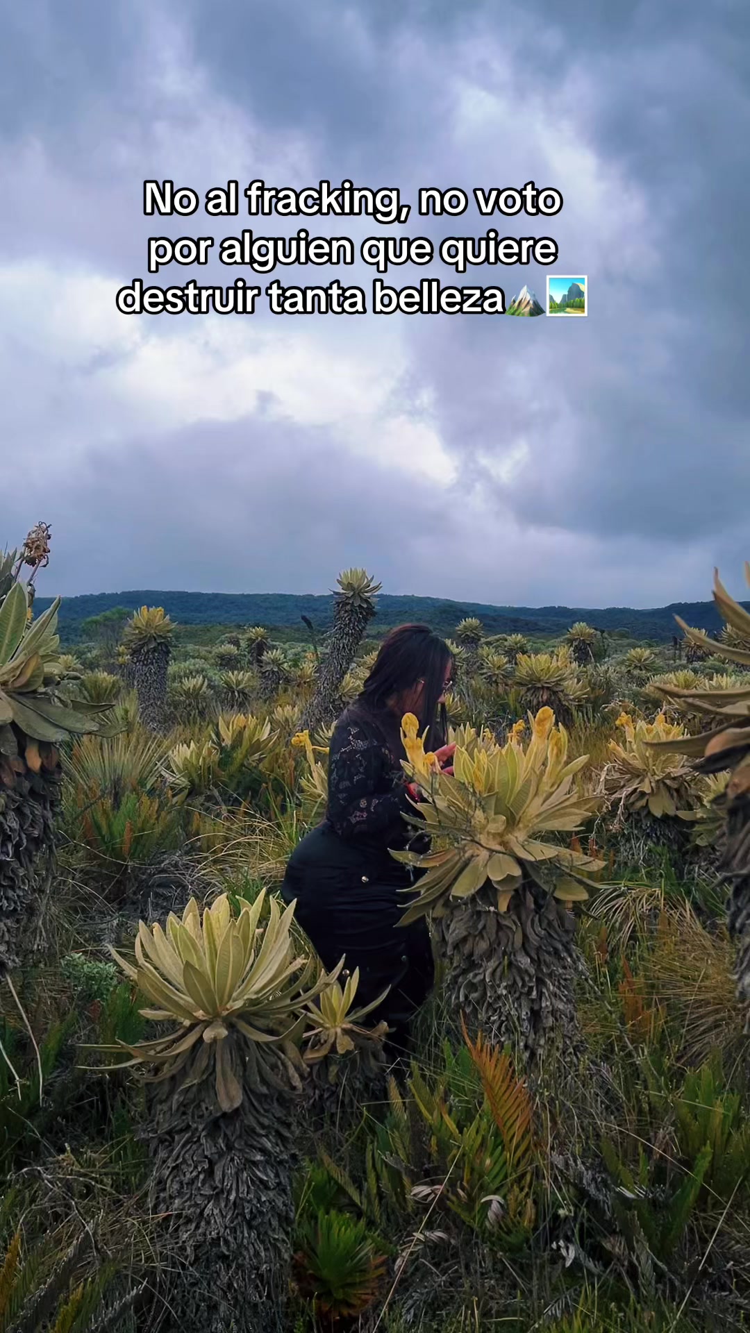 @Samantha Narváez