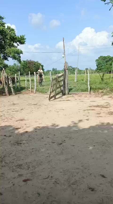 @Danielmu&ntilde;oz