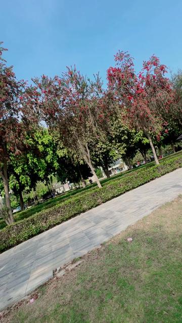 @MK🫀Sulimankhil 🥀