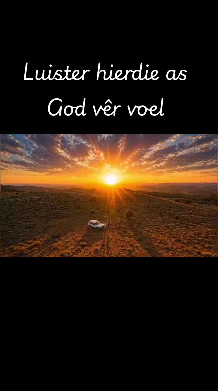 @AI-Boer
