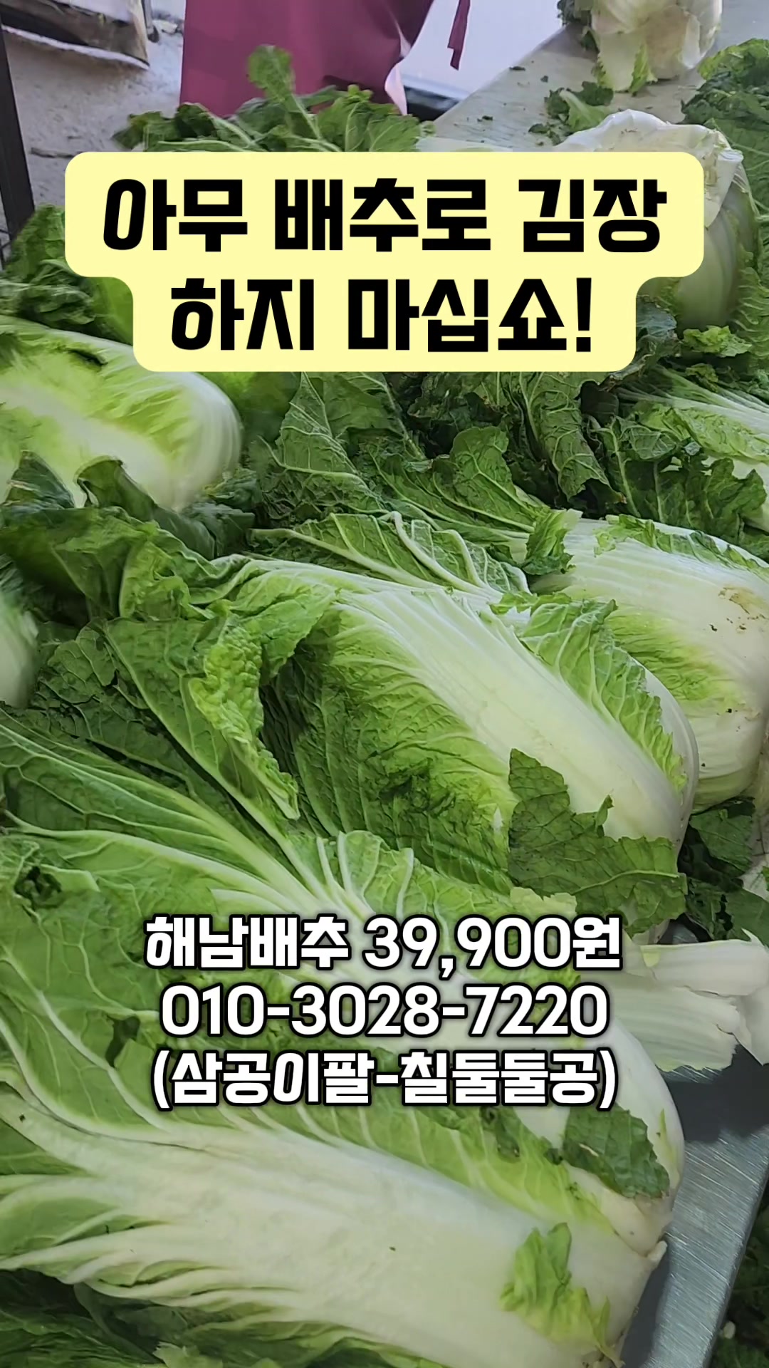@한입의행복