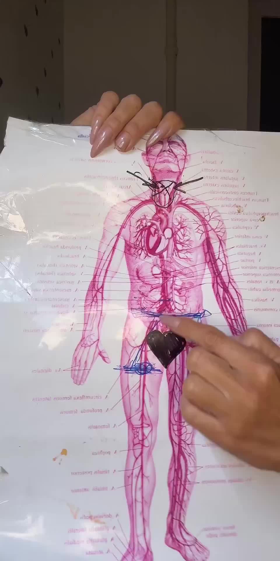 @medic-vedmedic🐻