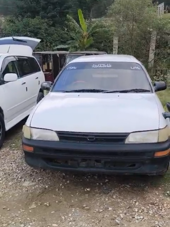 @ncpcarlover1