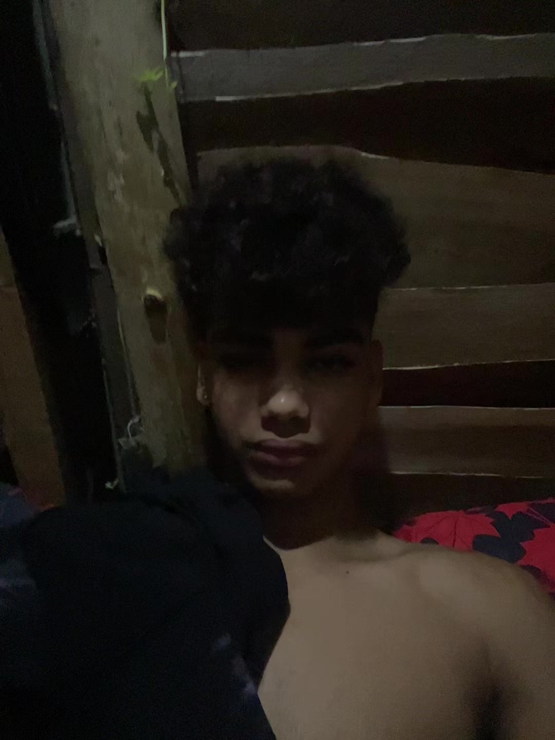 @Dani Fox 🦊