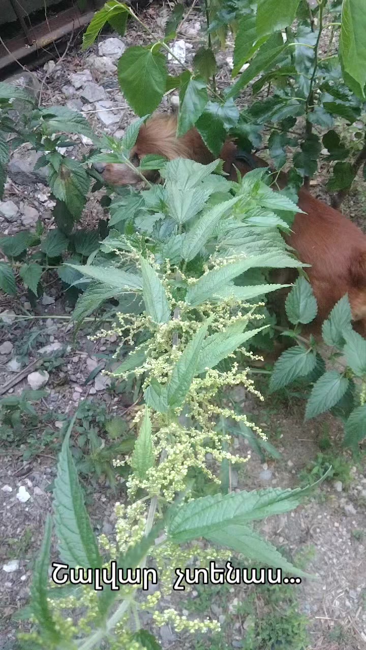 @Артур