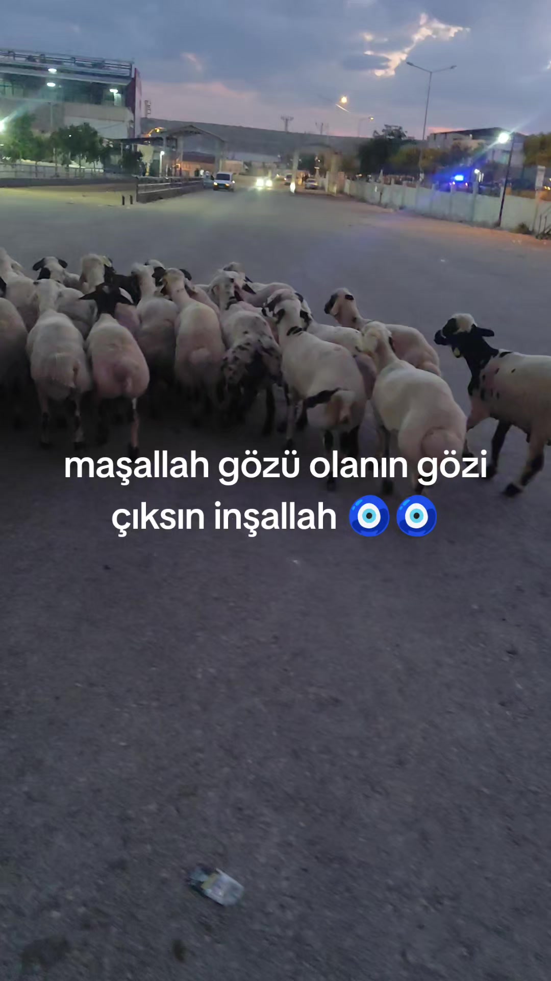 @nedim can ataş
