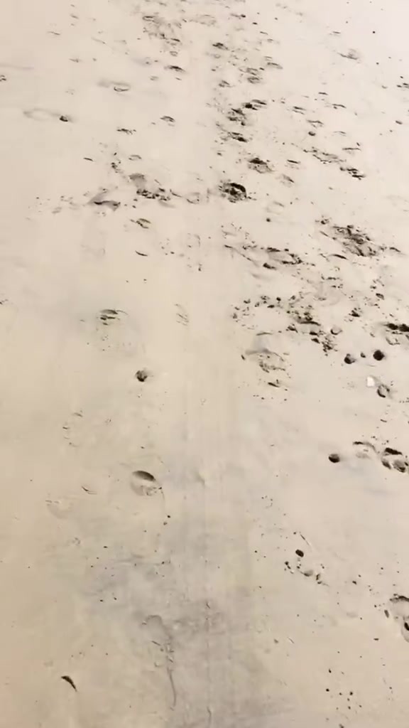 @alonsocotaquintero