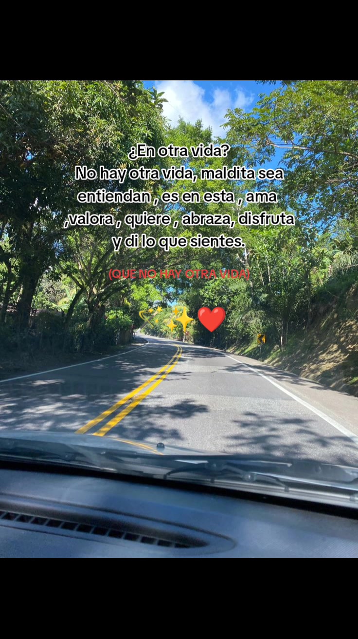 @🌜Ely Holguin ⚡