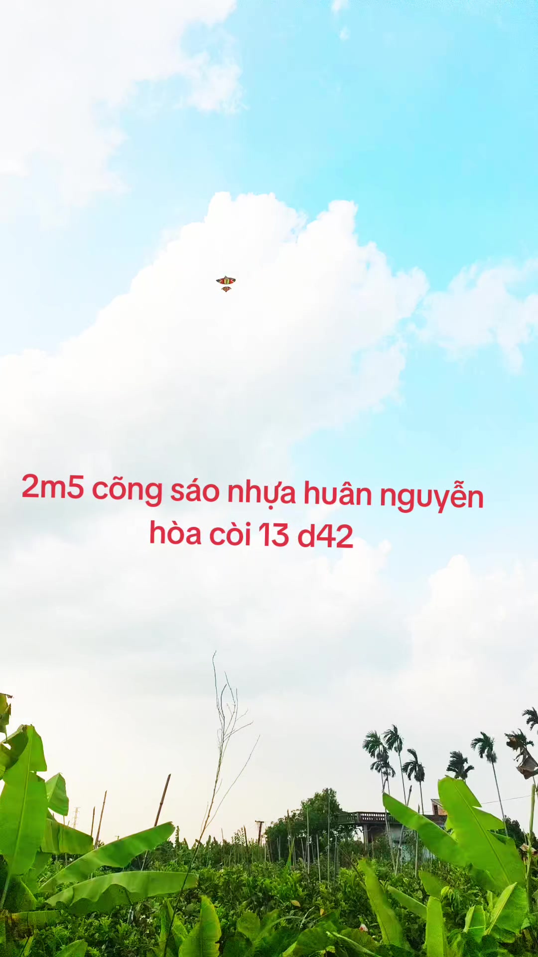 @S&aacute;o Diều Hu&acirc;n Nguyễn