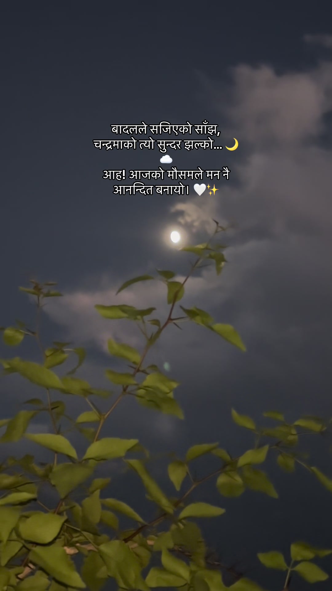 @Binam Kafley Karki