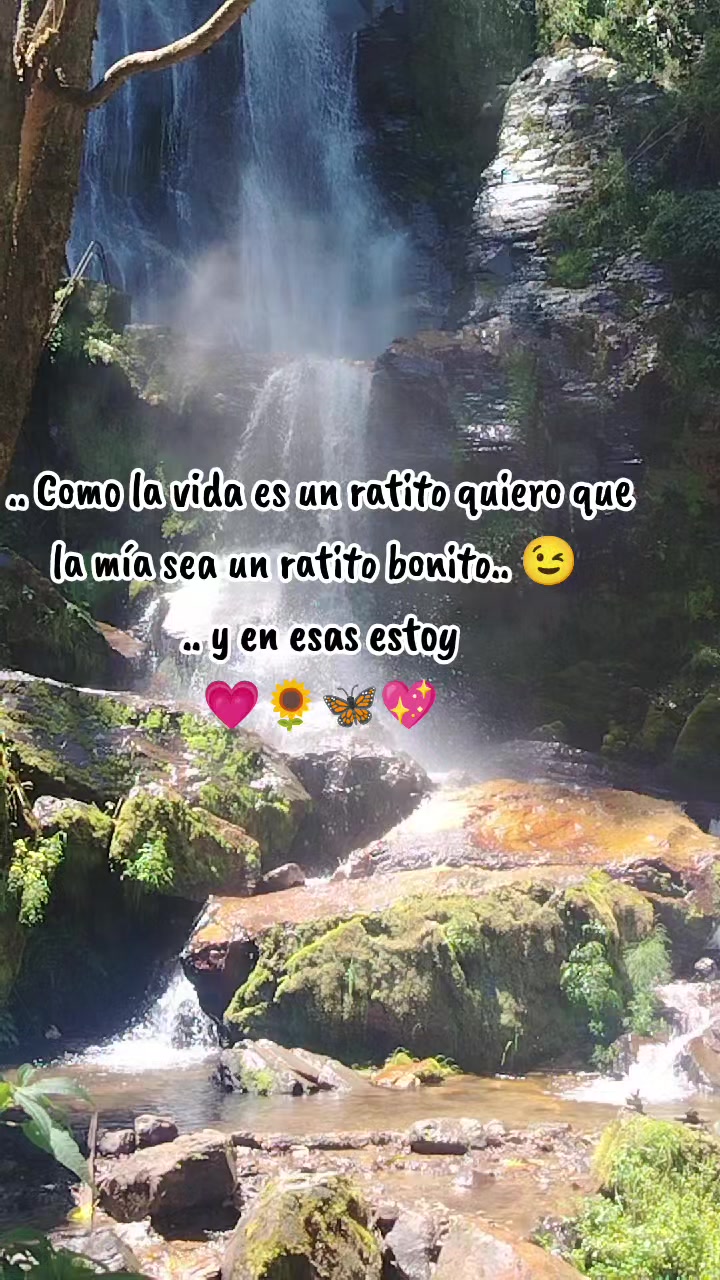 @Mely Jime
