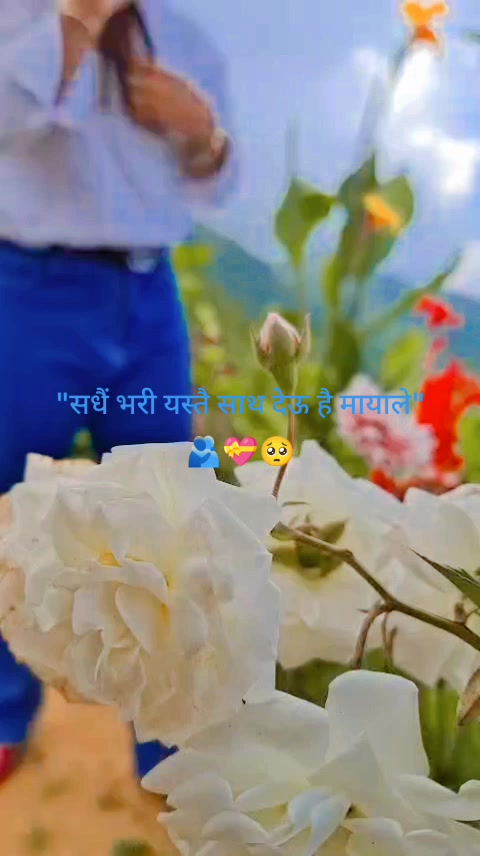 @मञ्जु परियार
