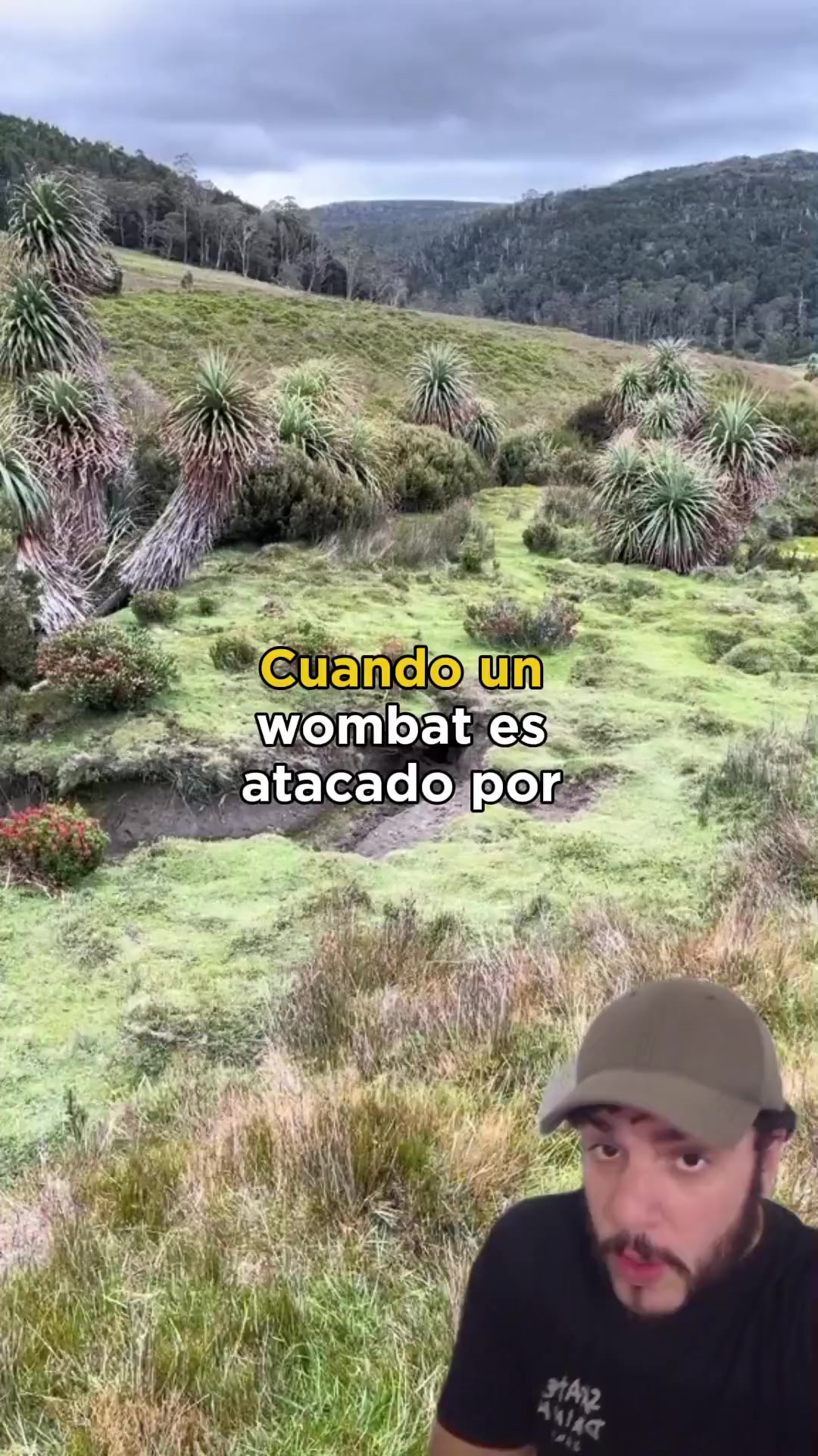 @Animaldex
