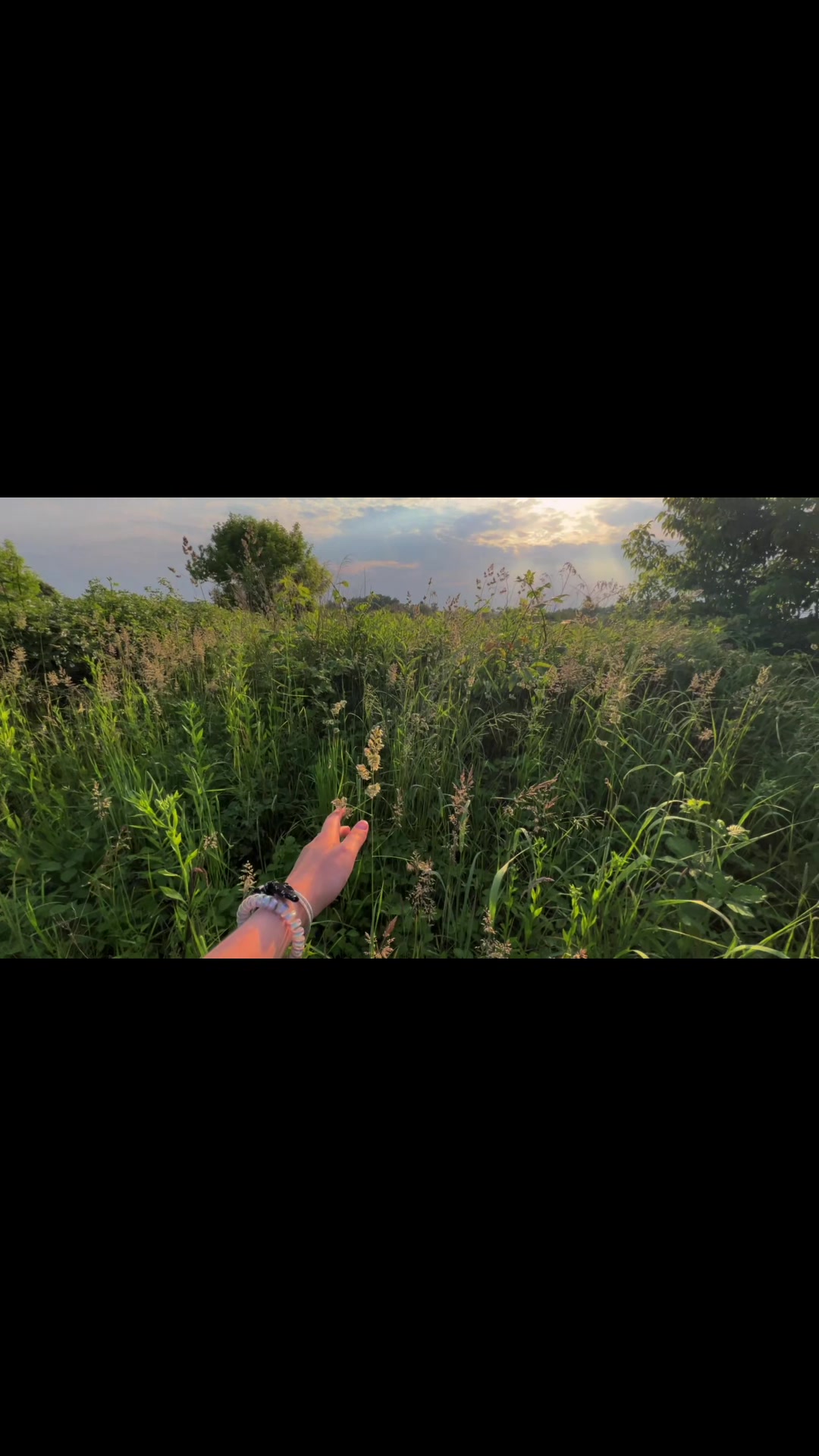@faynoye