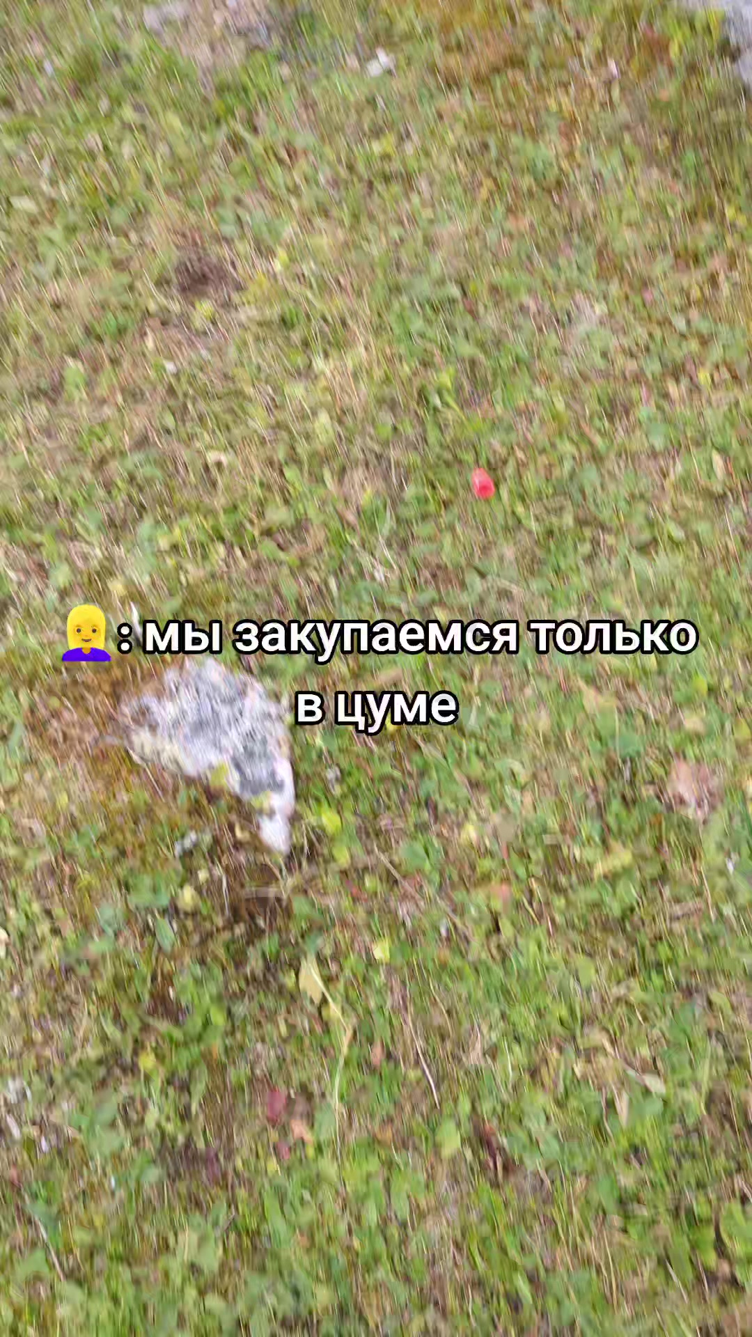 @dripshop1337
