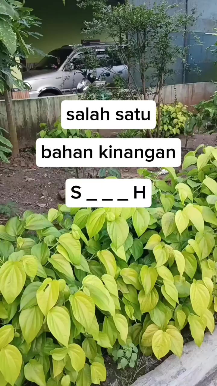 @Yayan c Wijaya