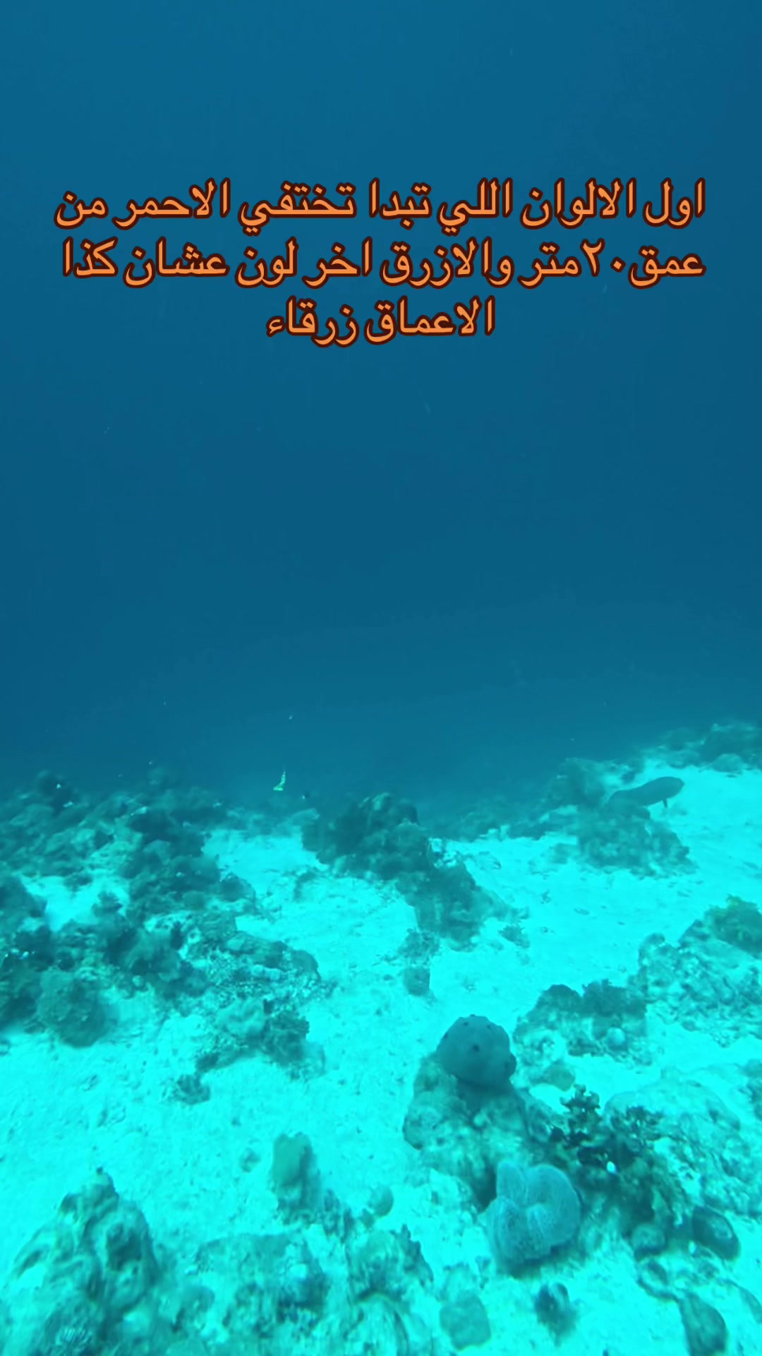 @غواص حر