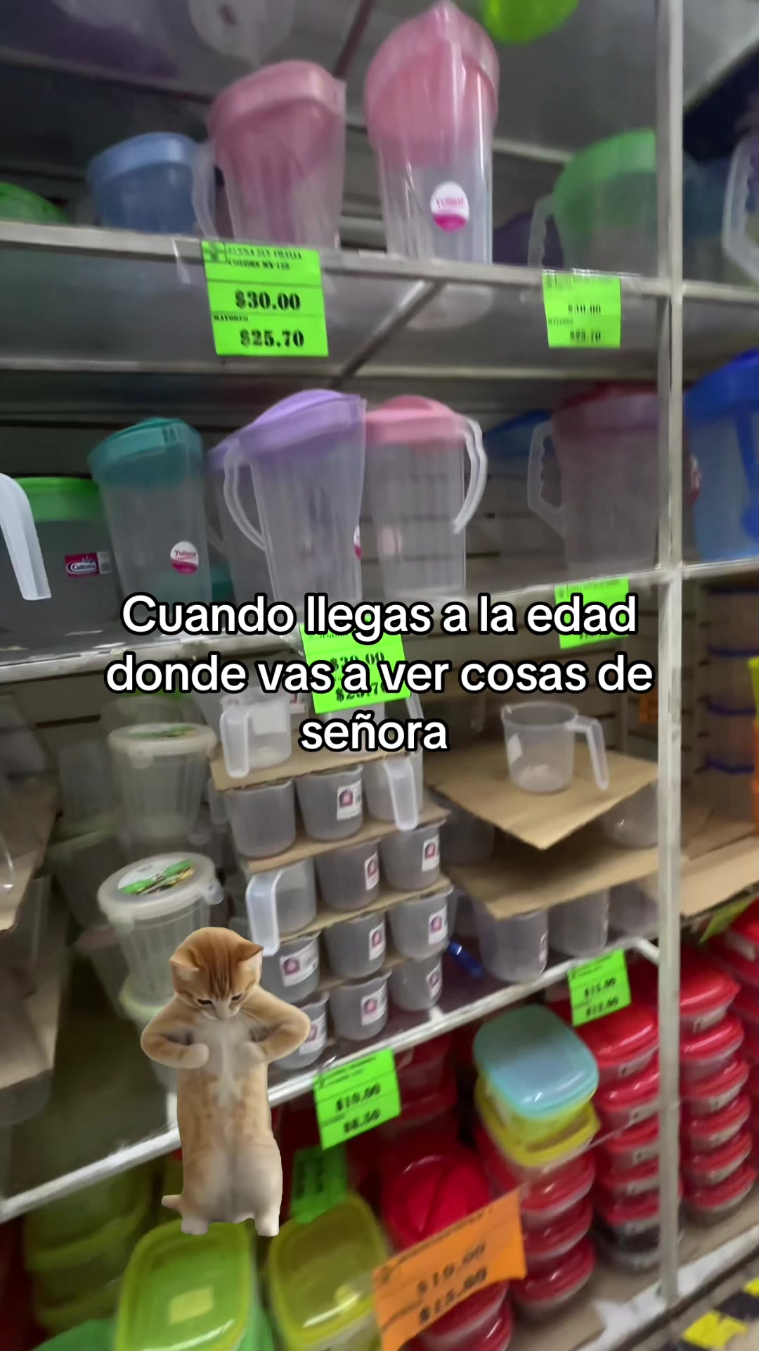 @DenssS🏋🏽♀️