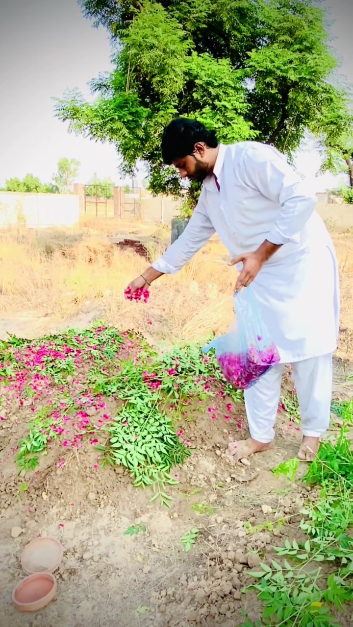 @چوہدری احمد کمبوہ ⚜️