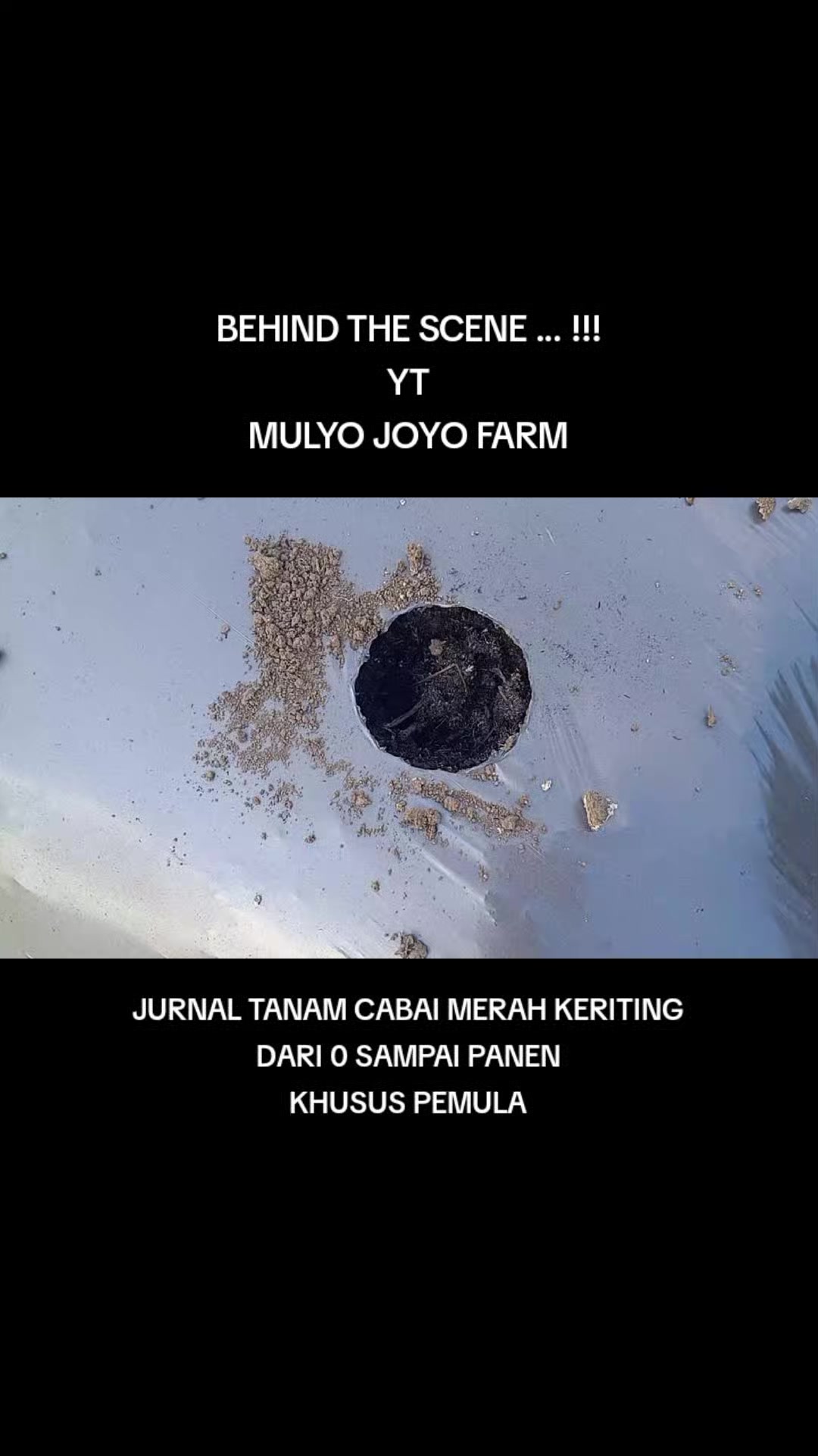 @MULYO JOYO FARM