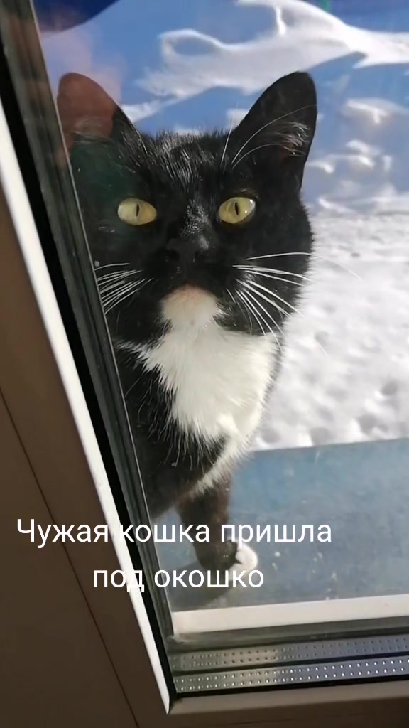 @Solovei784