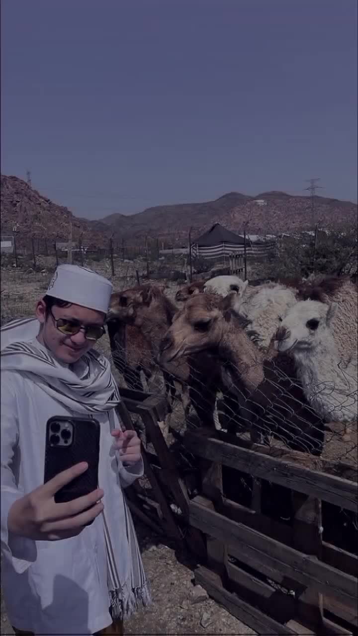 @ᴀsʜᴀʙ_ᴀʟᴡɪ_