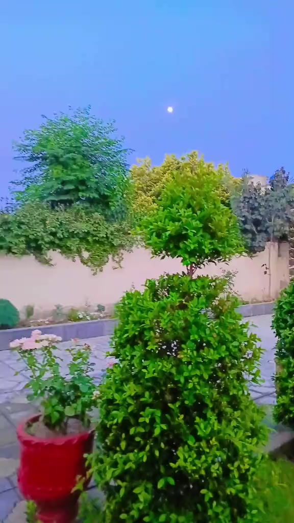 @M_A_S.