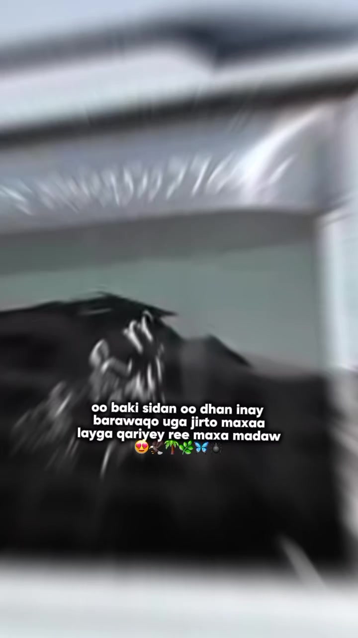 @❄𝐌𝐀𝐒𝐂𝐔𝐃 EDIT🔙