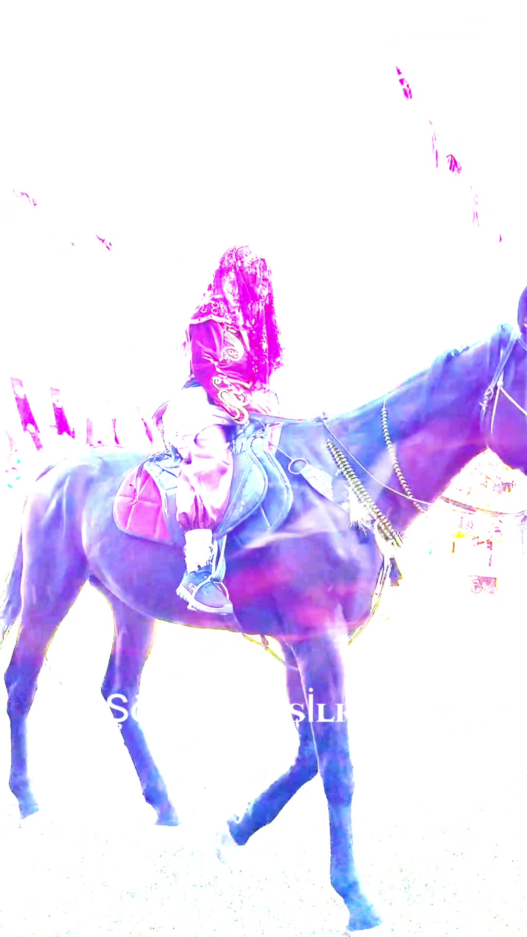 @Ahmet Karapınar