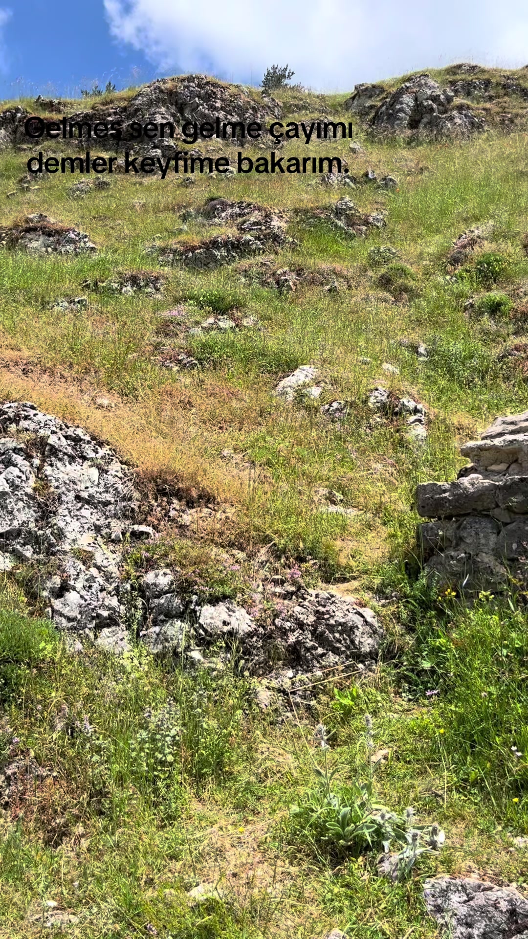 @Murat Çatal