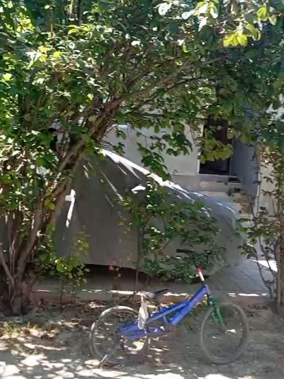 @Dəniz əmlak