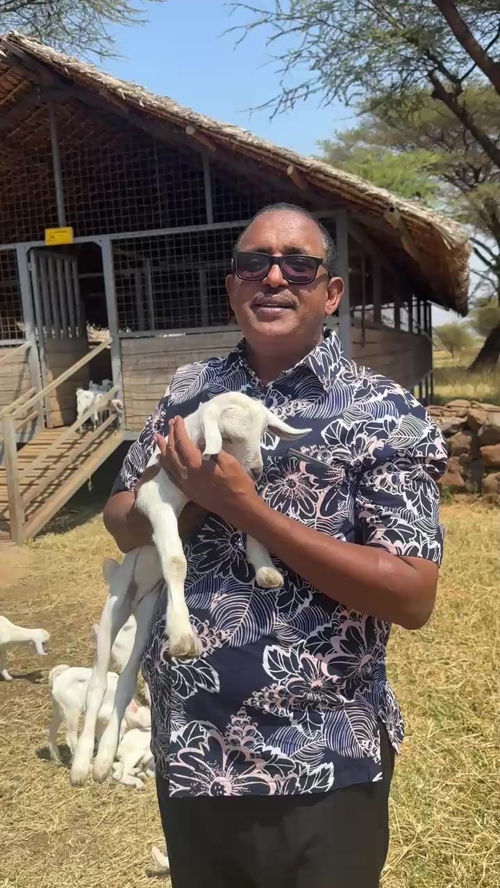 @Simba Guleid