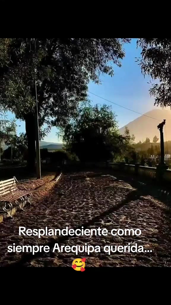 @🐼🙈Ediña14❤️🪖 🌻