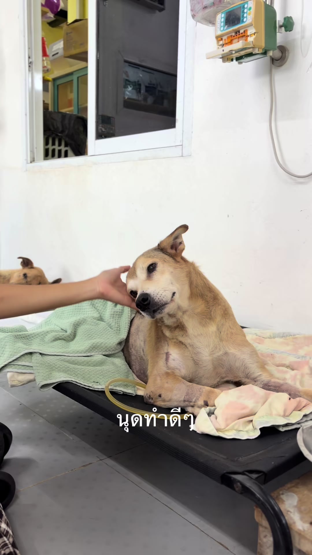 @TMTRD.org