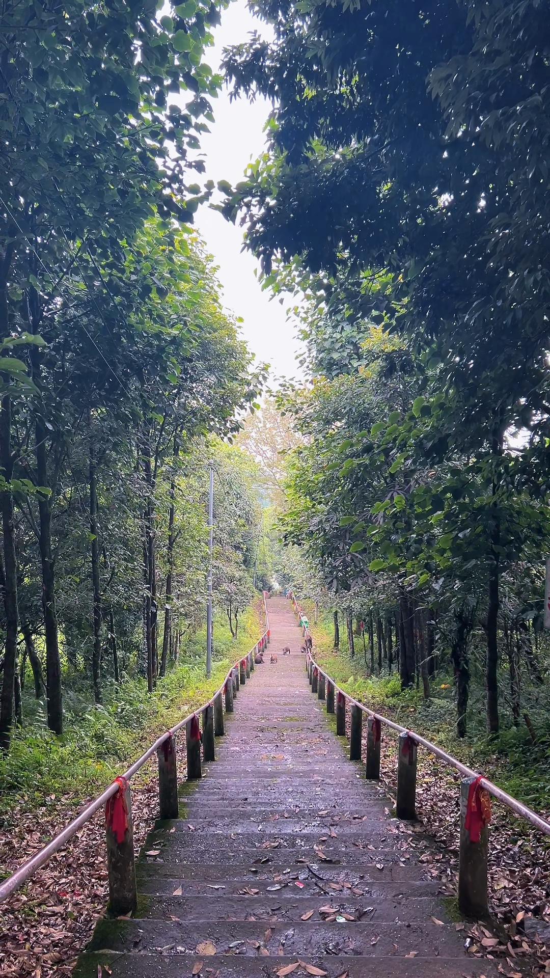 @M-JABEGU🍁