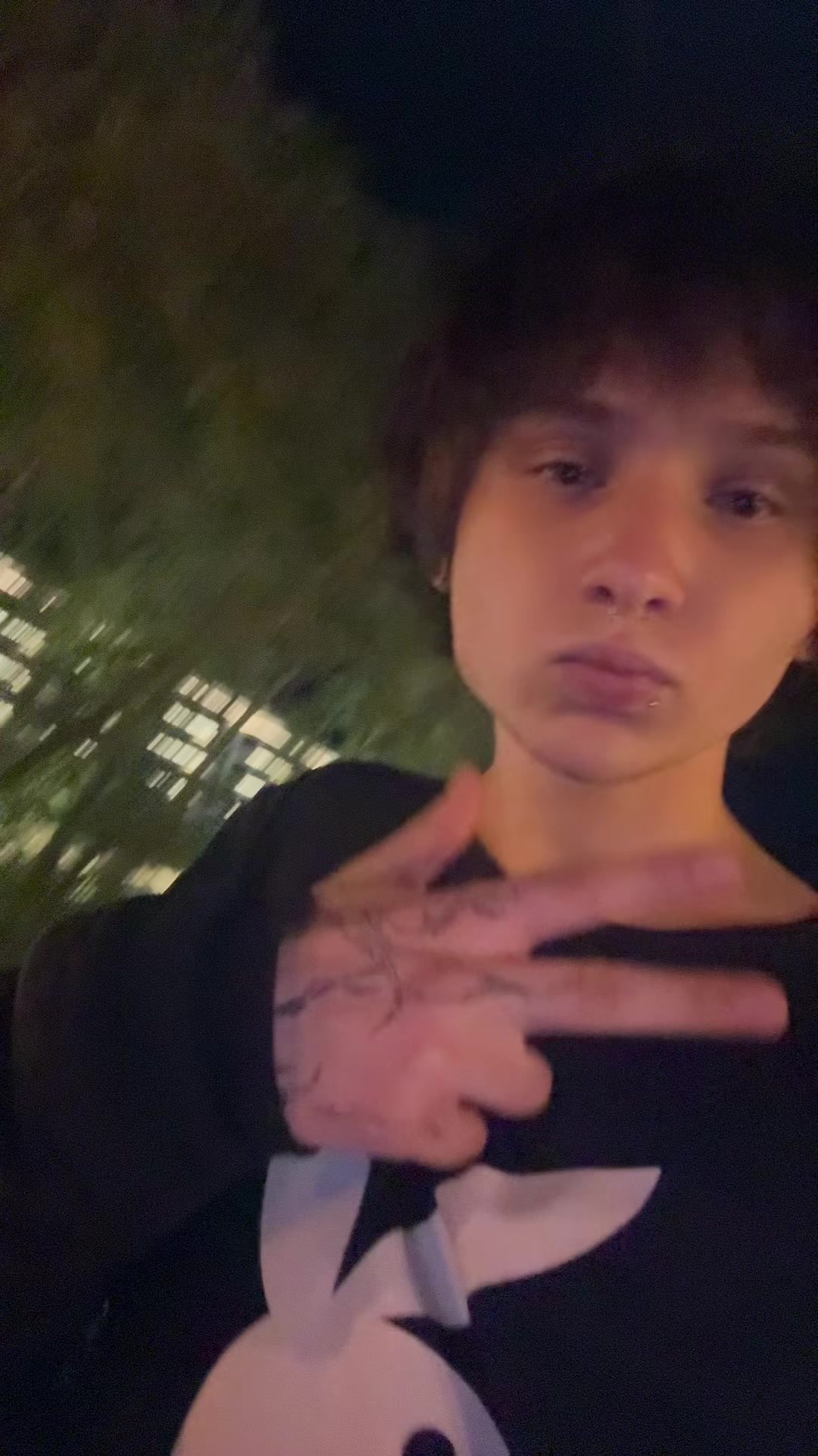 @insimmer