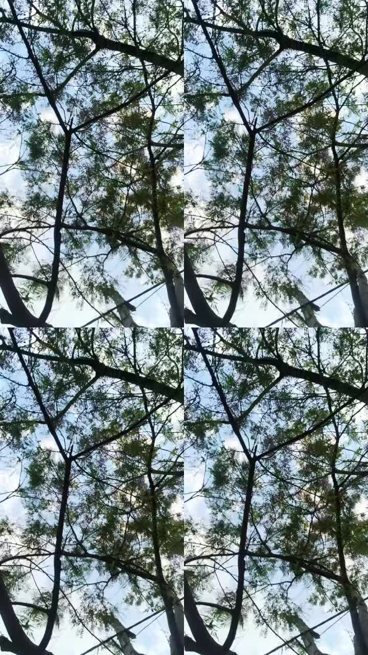 @👻👀🍃