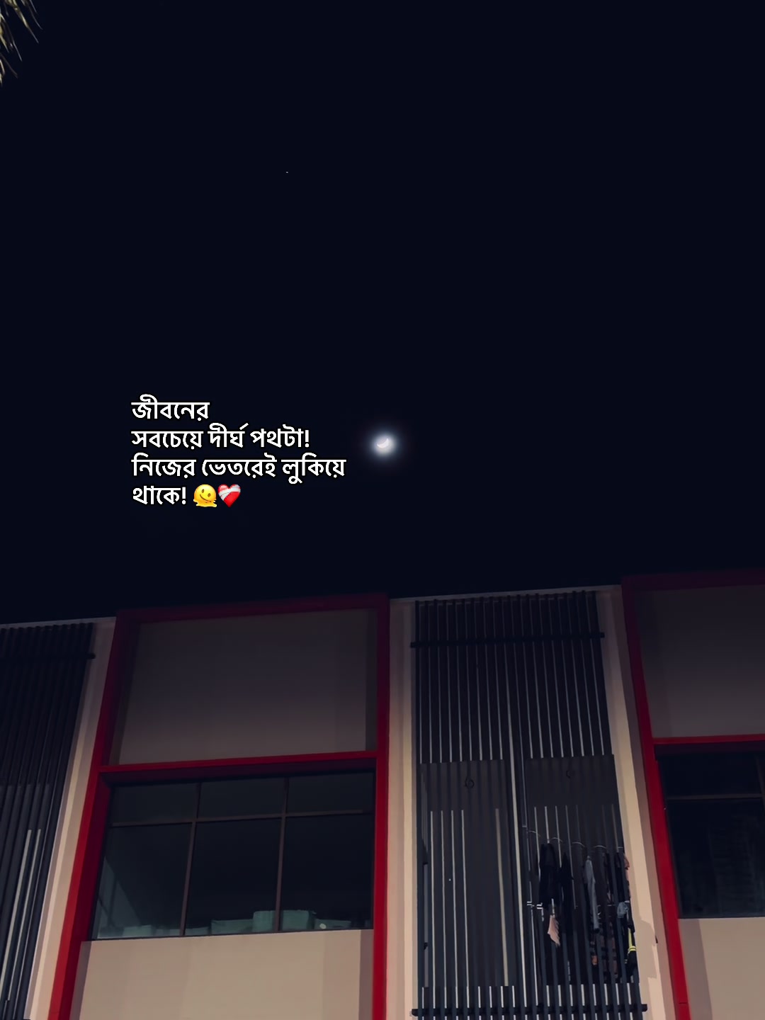 @आईएएन ┊🐥