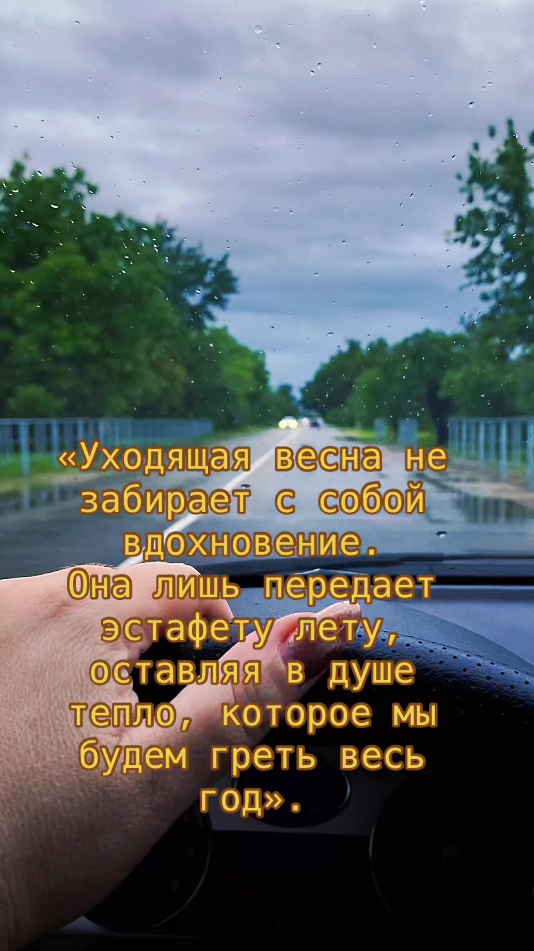 @_๐ท๐๐๐๐๐๐๐_