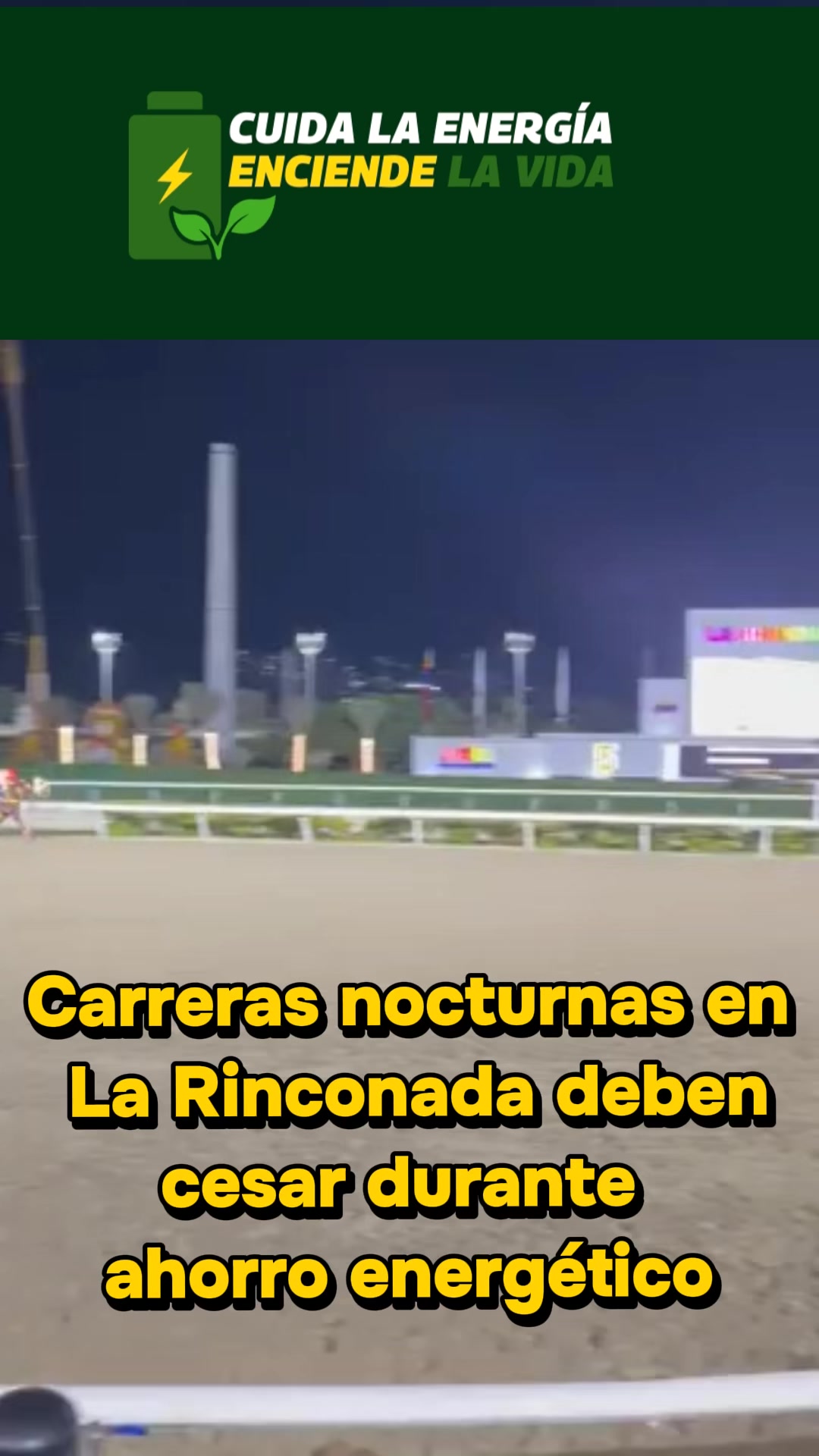 @concienciayciudadania