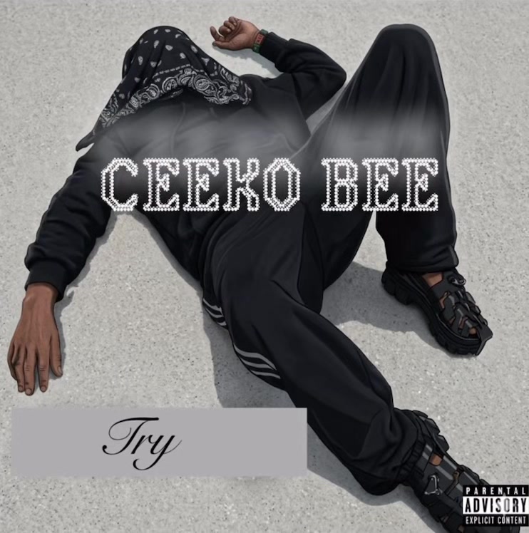@Ceeko Bee