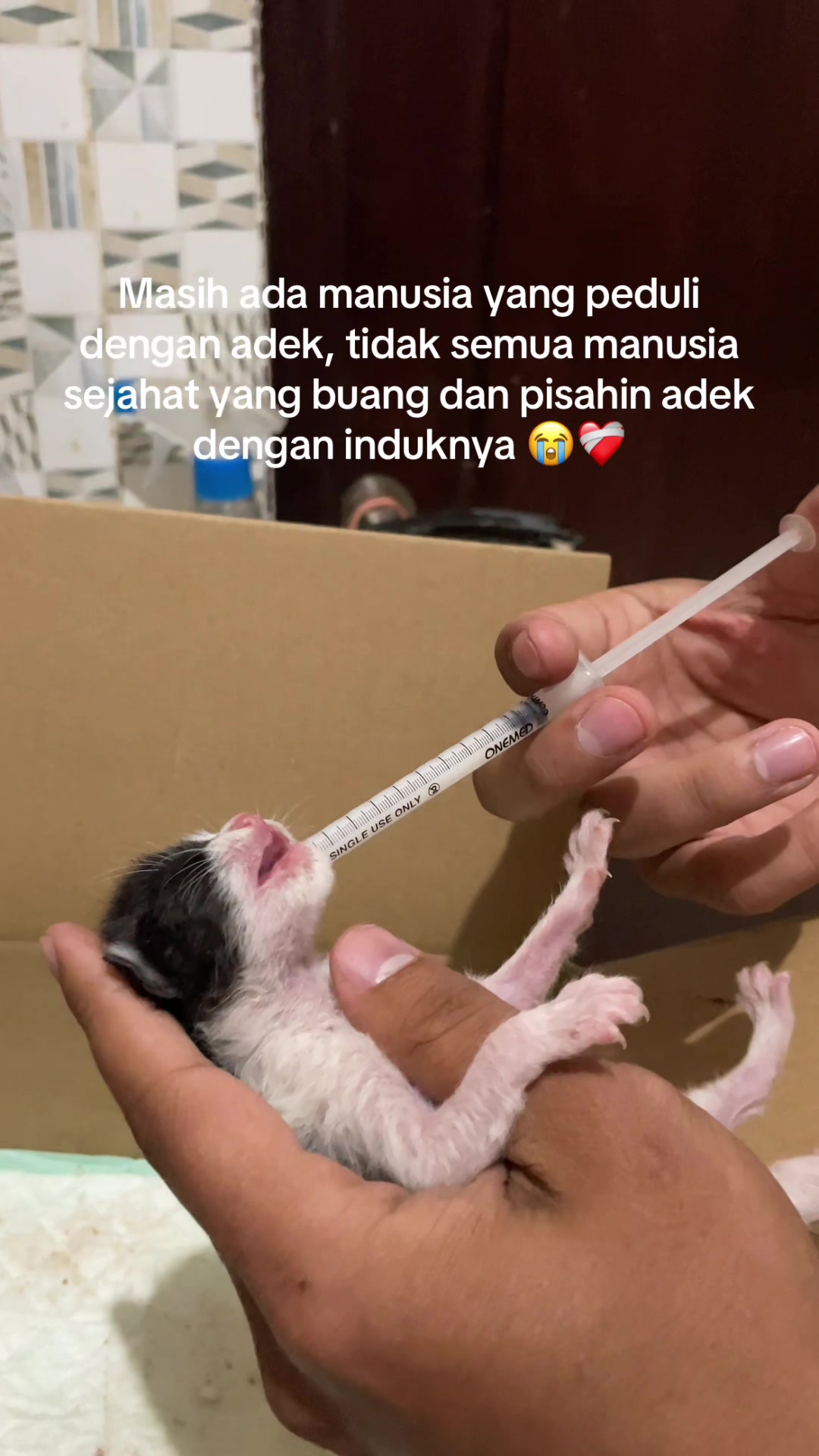 @biskuit&cimul