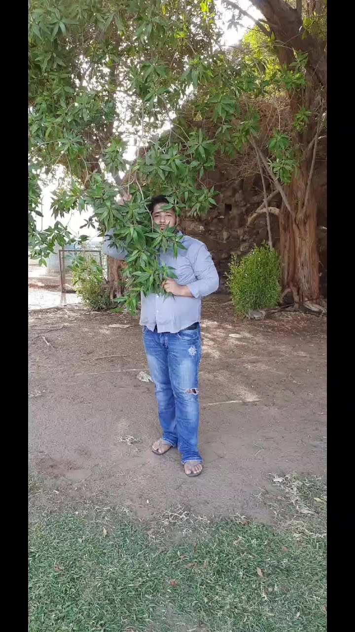 @Anisa Rayemajhi